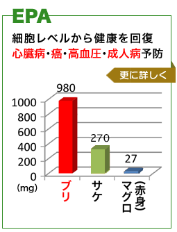 縩  ! ޤǴݤ֥ꡡEPA