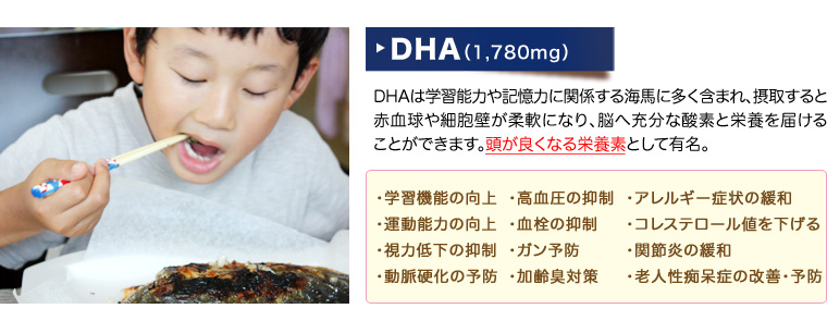 縩  ! ޤǴݤ֥  DHAθǽ