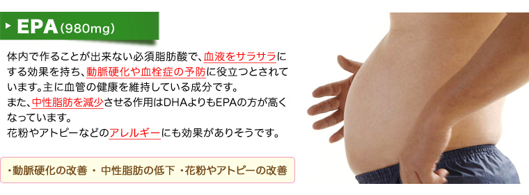 縩  ! ޤǴݤ֥  EPAθǽ