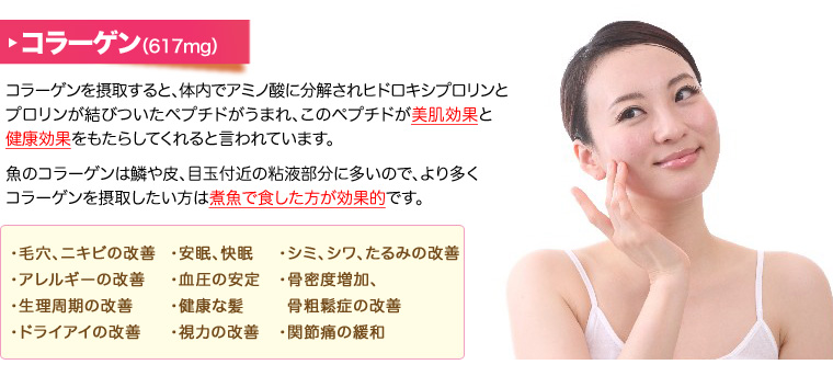縩  ! ޤǴݤ֥  顼θǽ